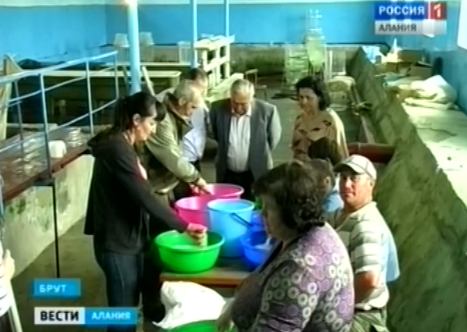 В Северной Осетии реализуется программа развития рыбного хозяйства