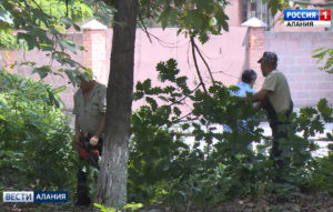 Сотрудники предприятий провели масштабную уборку от Черменского круга до 6-й промышленной улицы