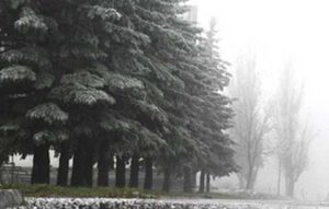 МЧС предупреждает о сильных осадках