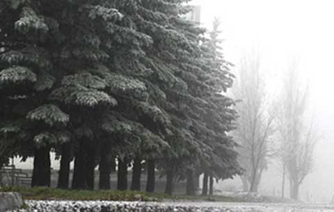 МЧС предупреждает о сильных осадках