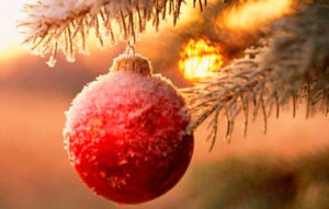 Жители Владикавказа нарядят новогоднюю елку города