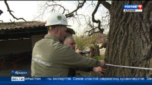 Ныртæккæ нæ бæстæйы царды уадзын райдыдтой Æппæтуæрæсеон программæ «Бæлæстæ – æрдзы уæдæгас цыртдзæвæнтæ»