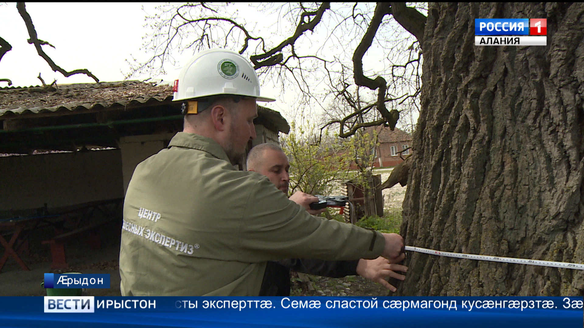 Ныртæккæ нæ бæстæйы царды уадзын райдыдтой Æппæтуæрæсеон программæ «Бæлæстæ – æрдзы уæдæгас цыртдзæвæнтæ»