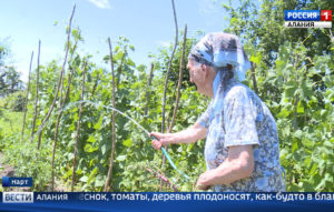 В Северной Осетии в самом разгаре сезон рыбалки