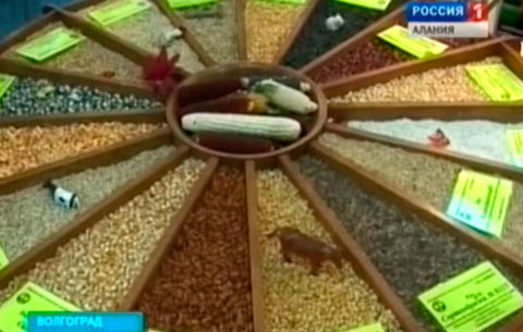 4-æм æмæ 5-æм апрелы Волгограды уыди парти Иугонд Уæрæсейы Генералон æмæ Уæлдæр советты иумæйаг уæрæхгонд æмбырд