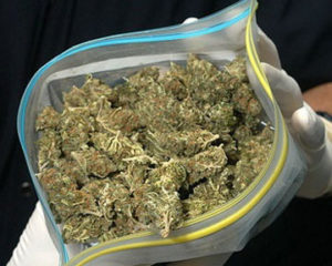 Сотрудники УМВД задержали жителя Владикавказа, у которого обнаружили 36 грамм марихуаны