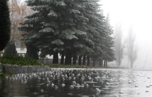 В Северной Осетии ожидаются дожди с градом