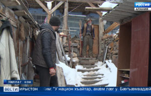 Рæстæг дугъон бæхыл бады, фæзæгъынц