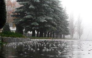 В Северную Осетию возвращаются дожди