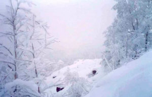 «Авто-Леди». Ахæм сæргондимæ акци арæзт æрцыд абон Дзæуджыхъæуы