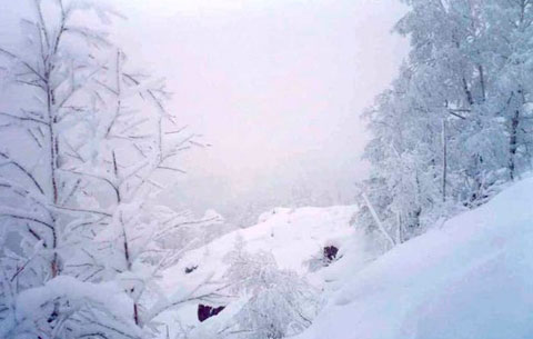«Авто-Леди». Ахæм сæргондимæ акци арæзт æрцыд абон Дзæуджыхъæуы