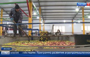 В министерстве сельского хозяйства намерены наладить работу республиканских предприятий с местными сельхозпроизводителями