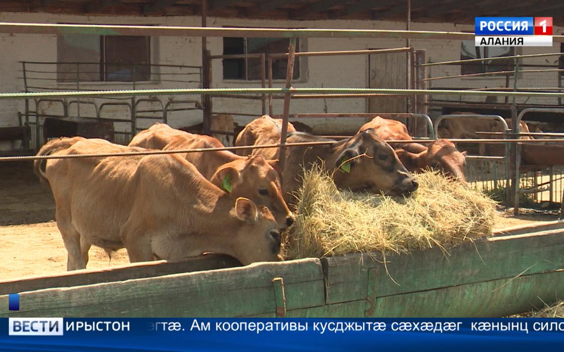 Хъæууонхæдзарадон кооператив «Æрыдон» – фылдæр кæны фосы нымæц Хъæууонхæдзарадон кооператив «Æрыдон» – фылдæр кæны фосы нымæц