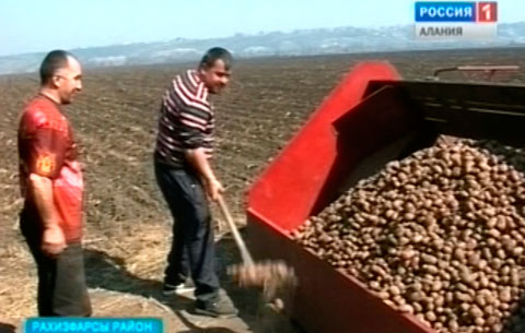 Уалдзæджы ралæудимæ сæ тæмæны бацыдысты быдырон куыстытæ