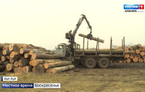 Северная Осетия стала пятым субъектом СКФО, присоединившимся к выполнению новых требований по сохранению биологического разнообразия при ведении лесозаготовок