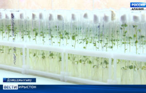 «Росагролидзинг»-имæ цы бадзырд бафыста нæ республикæ