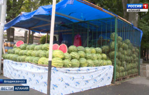 В республике стартовал арбузный сезон