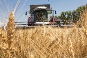 В Моздокском районе завершают уборку яровых и озимых культур