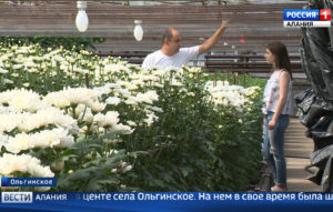 В Ольгинском разгорелся спор между цветоводом и местной администрацией