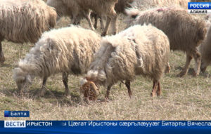 Фосдарынад ныртæккæ нæ республикæйы ахсджиаг бынаты æвæрд у