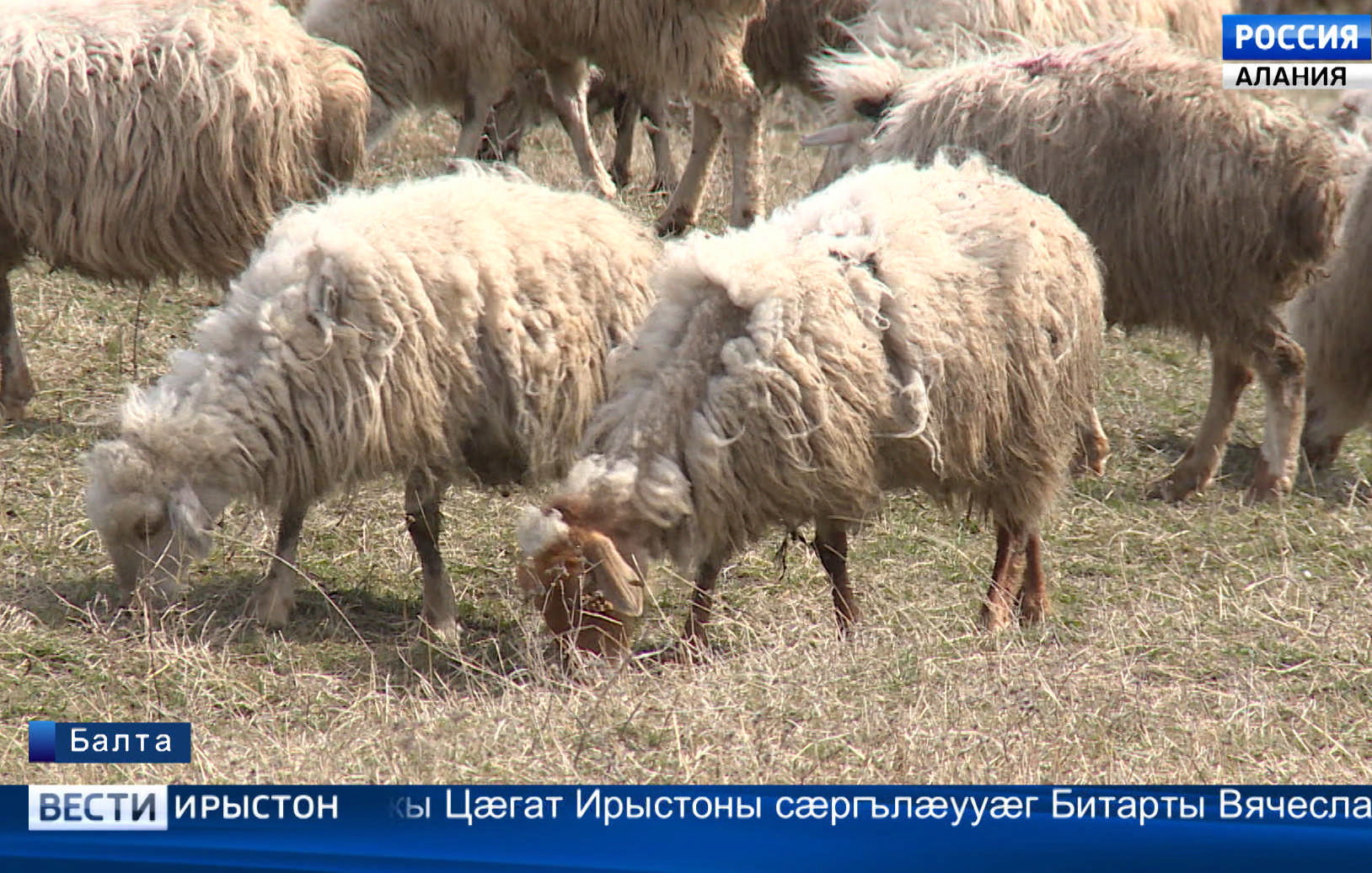 Фосдарынад ныртæккæ нæ республикæйы ахсджиаг бынаты æвæрд у
