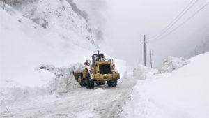 Федеральные дорожники приступили к расчистке Транскама