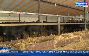 Фермерские хозяйства республики расширяются благодаря грантовой поддержке