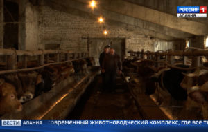 Казбек Вазиев встретился с руководителями сельхозпредприятий Пригородного района