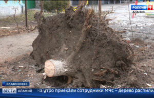 Коммунальные службы устраняют последствия урагана во Владикавказе