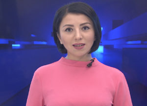 Вести (Россия 24)