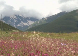 Фыдæлты уæзæгмæ. Балц Нармæ