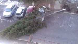 Во Владикавказе устраняют последствия сильного ветра