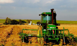 Сельхозпроизводство в Северной Осетии выросло почти на 16%