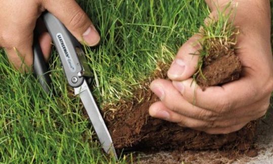 Прокуратура выявила факт незаконного отчуждения более одного гектара муниципальной земли во Владикавказе