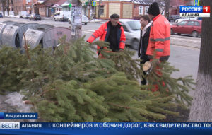 Вторая жизнь новогодних елок