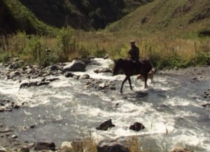 Фыдæлты уæзæгмæ. Хохы дзуары бæрæгбон Гуыркъуымты комы