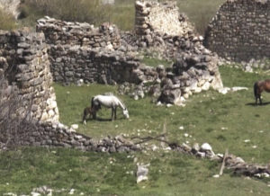 Фыдæлты уæзæгмæ. Уæллаг Мызуры хъæутæ