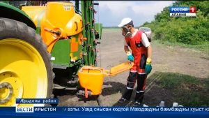 Æрыдоны районы нартхоры быдырты 65% хъыгдард байæфтой зианхæссæг гæлæбуты кæлмытæй