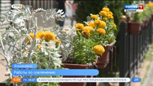 Улицы Владикавказа украсили пятью тысячами цветов
