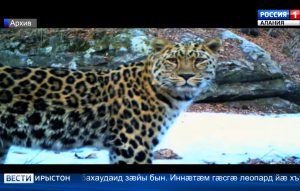 Хуссар Ирыстоны хæхты кæронмæ æрхæццæ æртыккаг агурæн экспедици