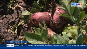 Цæгат Ирыстоны райдайдзæн хъæууонхæдзарадон форум «Картофы быдырты Æппæтуæрæсеон бон»