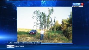 Уæрæсейаг æмвæзады ног рекорд сæвæрдта не мзæххон Хъæстуаты Игорь