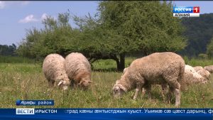 Цæгат Ирыстоны æнтыстджынæй рæзы фосдарынады къабаз