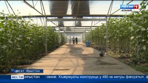 Цæгат Ирыстоны бындуронæй райдыдтой хъæрмуатты комплексты хъæууонхæдзарадон культуртæ зайын кæныны куыст кæнын