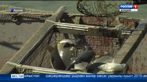 Цæгат Ирыстоны фронимæ абаргæйæ дыууæ хатты фæуæрæхдæр уыдзæн валер кæсаг уадзыны куыст