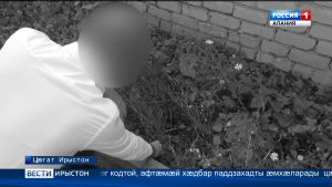 Цæгат Ирыстоны пъæлицæйæгтæ сбæрæг кодтой наркотикты æнæзакъон зилдух кæм цыди, ахæм бынат