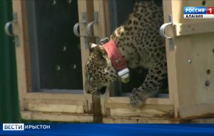 Уæрæсейы экологимæ цæстдарды службæйы ахуыргæндтæ архайынц Цæгат Ирыстоны хæхты экспедицийы