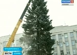На площади Свободы во Владикавказе установили праздничную ель
