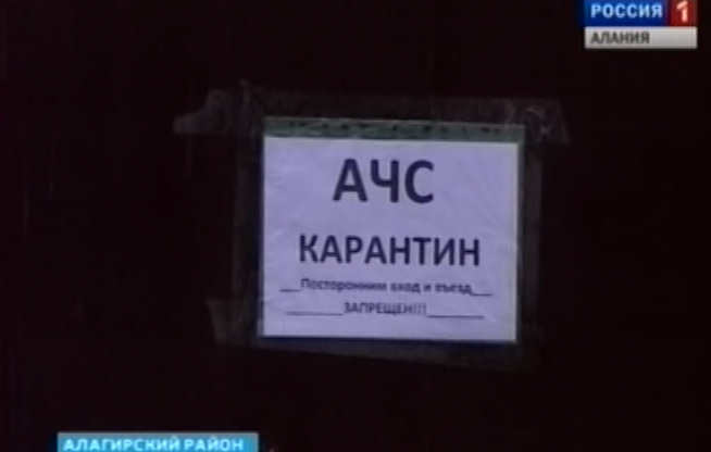 В Северной Осетии локализованы и устранены два очага распространения африканской чумы свиней