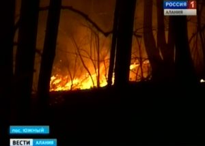 Лесные массивы в районе поселка Южный в Северной Осетии пострадали от пожара